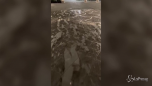 Eruzione Etna, la cenere invade piazza del Duomo a Catania