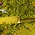 Torino, accoltella la ex in strada: ricoverata in prognosi riservata