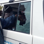 Foto auto distrutta ambasciatore Attanasio colpito dopo l'imboscata