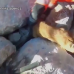 Spagna, vigili del fuoco liberano un cane intrappolato tra le rocce