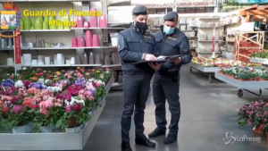 Caporalato in un vivaio milanese