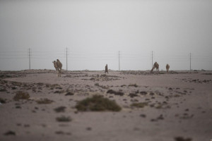 Sahara, Bourita: Europa esca da comfort-zone e sostenga iniziativa Marocco