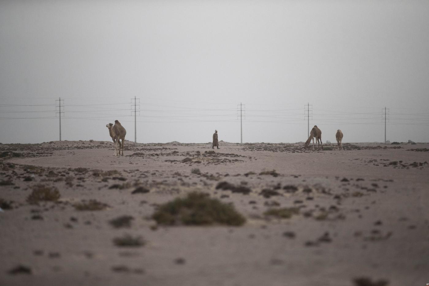 Sahara, Bourita: “L’Europa esca dalla comfort-zone e sostenga l’iniziativa del Marocco”