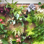 Design, con Parete Viva il giardino è anche in casa