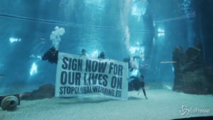 Flash mob sott'acqua contro il riscaldamento globale a Genova