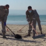 Libano, volontari puliscono le spiagge dopo lo sversamento di petrolio
