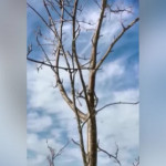 Monte Caio, recuperata la salma dello scialpinista scomparso a dicembre