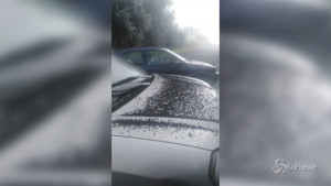 Pioggia di cenere nera