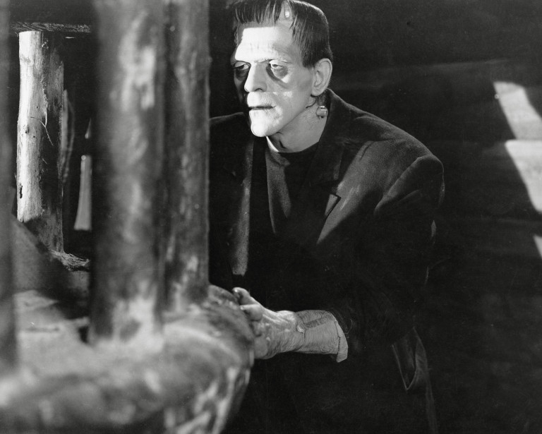 Mary Shelley pubblica il romanzo Frankenstein