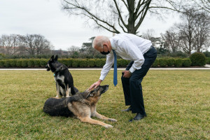 Pastori tedeschi di Biden