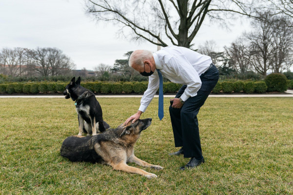 Pastori tedeschi di Biden