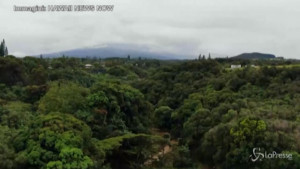 Evacuazioni sull'isola di Maui