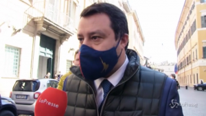 Vaccini, Salvini