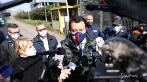 Vaccini, Salvini