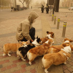 Cina: Pechino smog e tempesta di sabbia