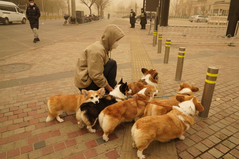 Cina: Pechino smog e tempesta di sabbia