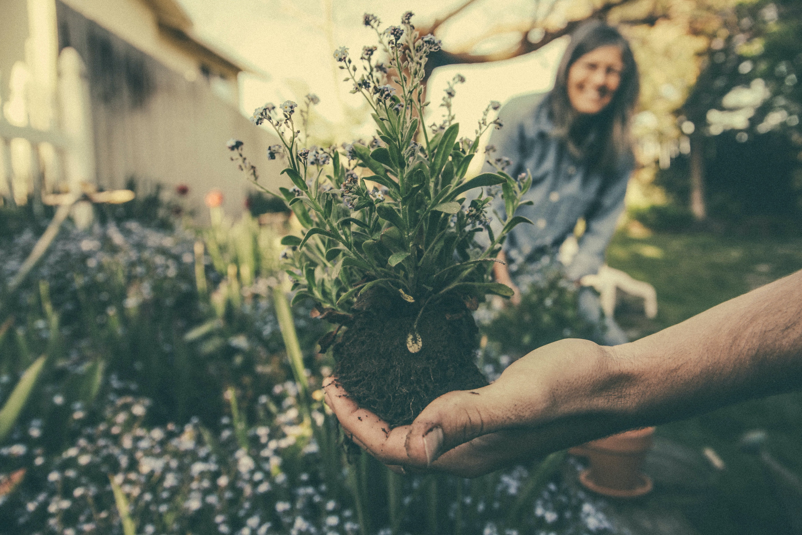 Sabato la ‘Giornata della Felicità’: metà degli italiani sceglie giardinaggio e fai da te
