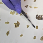 Frammenti biblici dei rotoli del Mar Morto | FOTOGALLERY