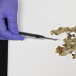 Frammenti biblici dei rotoli del Mar Morto | FOTOGALLERY