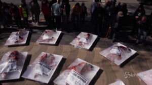 Animalisti confezionati come carne al supermercato