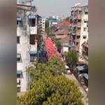 Myanmar, a Yangon centinaia di palloncini rossi nel cielo in segno di protesta