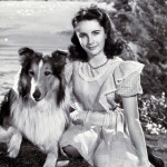 Liz Taylor nel 1946, in una scena del film Torna a casa, Lassie!