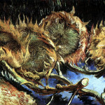 Quattro girasoli appassiti