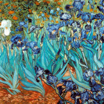 Vincent Van Gogh Iris