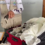 Galapagos, 185 tartarughe trovate all’aereoporto nascoste in una valigia