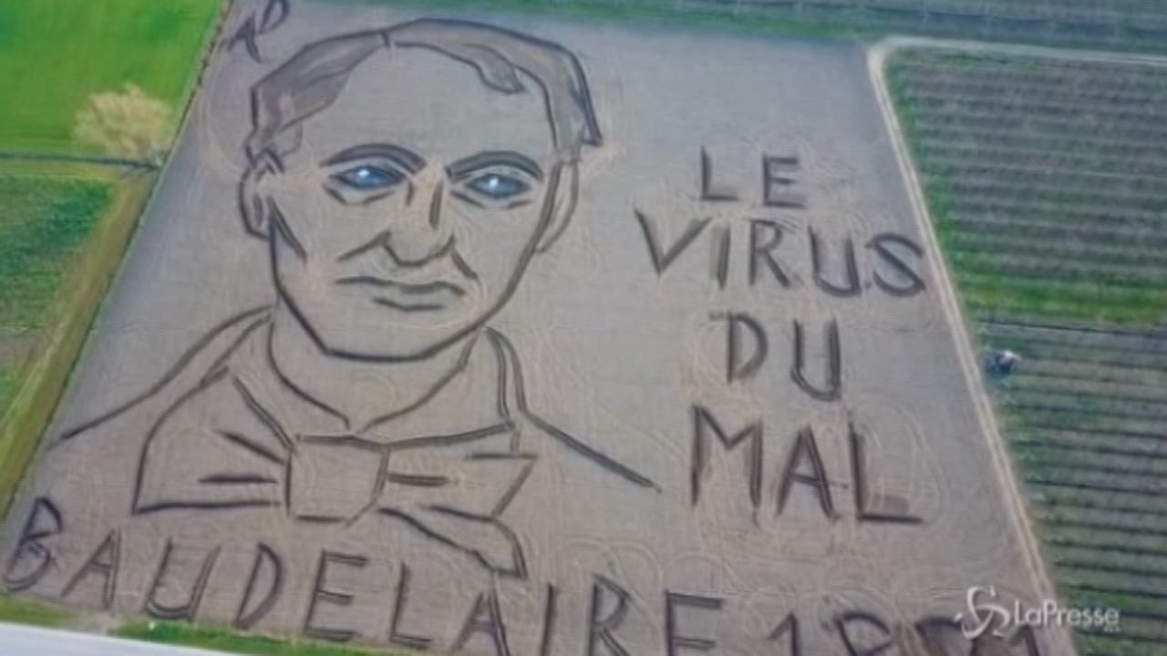 Con Trattore. Baudelaire su un campo