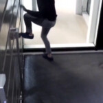 Rubarono in casa di Diletta Leotta, presi i ladri acrobati di Milano