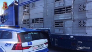 Controlli polizia su trasporto