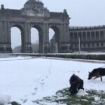 Bruxelles, secondo giorno di neve nella capitale belga