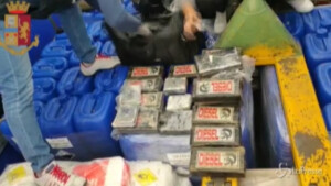 Sequestrati 20 kg di cocaina purissima