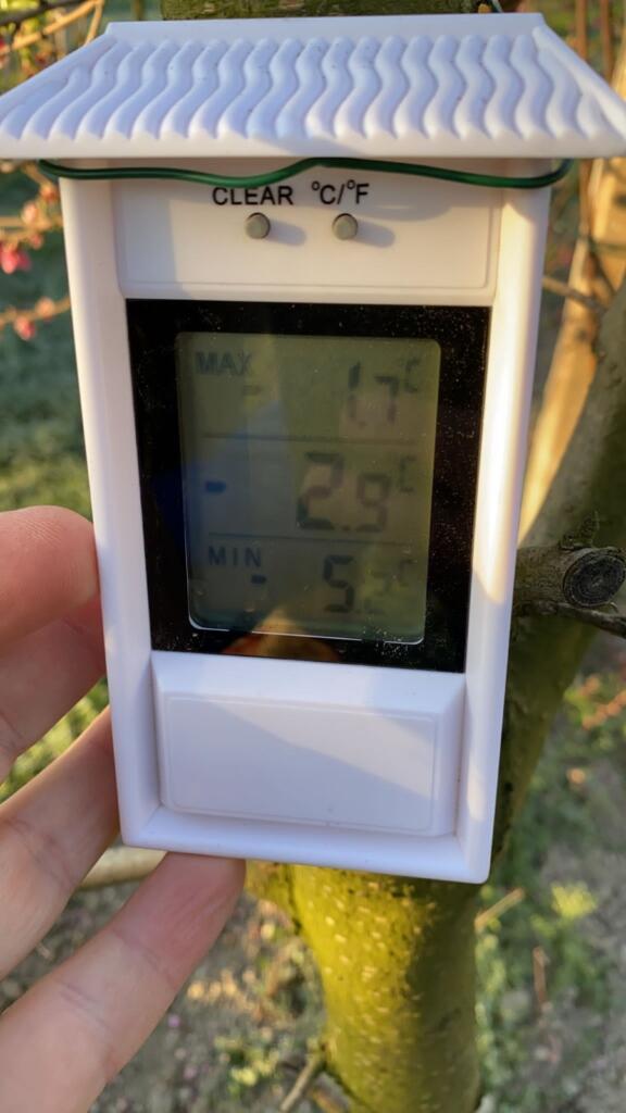 Galleria foto 'Gelate tardive, gravi danni all’agricoltura – GALLERY' - foto 7