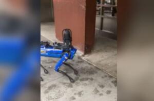 cane robot