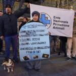 Via libera a farmaci ad uso umano per gli animali. Enpa: “Passo avanti nel diritto alla salute”