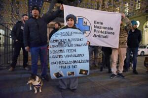 Protesta Enpa sotto palazzo civico a Torino