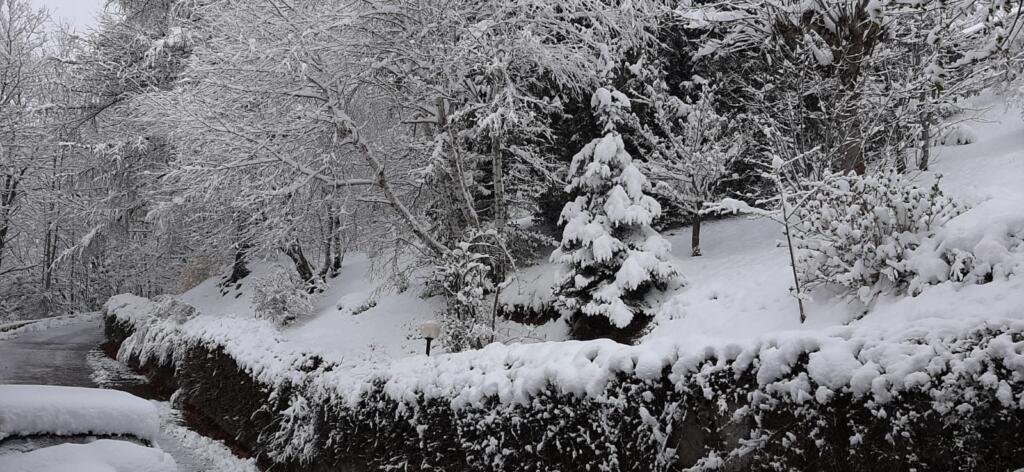 Galleria foto 'Colpo di coda dell’inverno in Piemonte, neve a mille metri | FOTOGALLERY' - foto 2