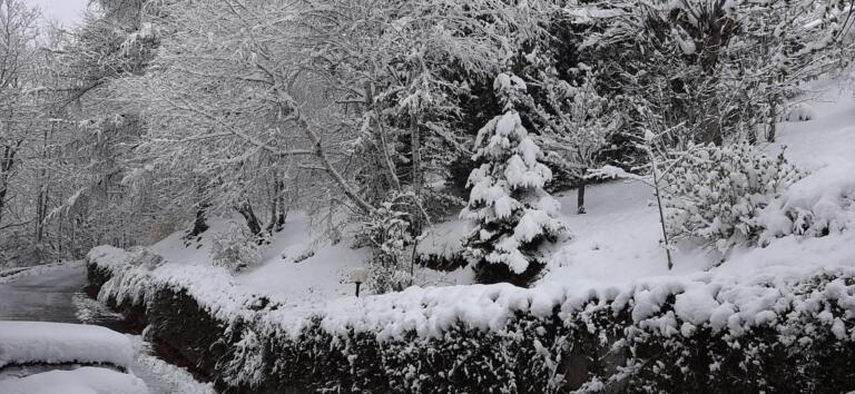 neve 2