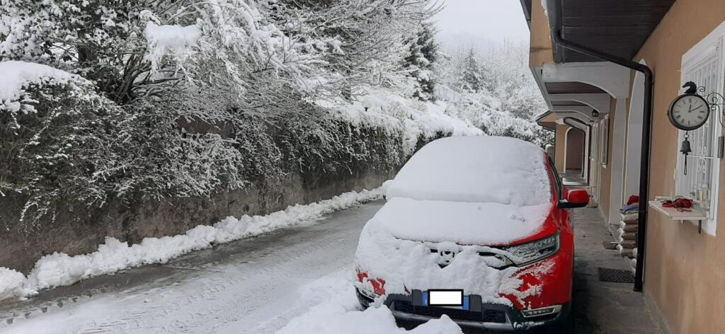 Galleria foto 'Colpo di coda dell’inverno in Piemonte, neve a mille metri | FOTOGALLERY' - foto 3
