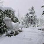 Colpo di coda dell’inverno in Piemonte, neve a mille metri | FOTOGALLERY