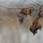 Meteo instabile nel week end: perturbazioni al Sud e temperature ancora sotto la media