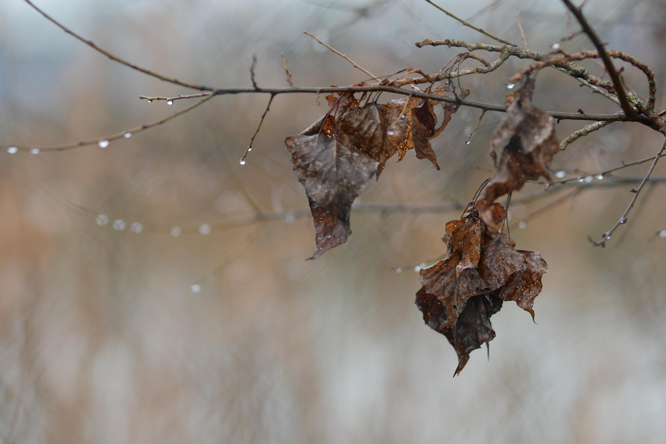 Meteo instabile nel week end: perturbazioni al Sud e temperature ancora sotto la media Meteo instabile nel week end: perturbazioni al Sud e temperature ancora sotto la media