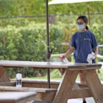 Covid, polemiche su riaperture: verso Cdm mercoledì. Resta la grana coprifuoco e pass