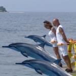 Isola dei Famosi in onda fino a giugno?