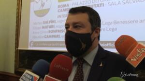 Caso Grillo, Salvini