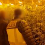 Spagna, sgominata una delle più grandi bande del narcotraffico: 65 arresti