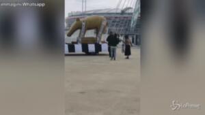 Tapiro d'Oro gigante alla Juve