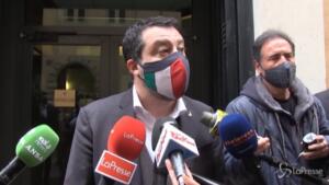 Caso Grillo, Salvini